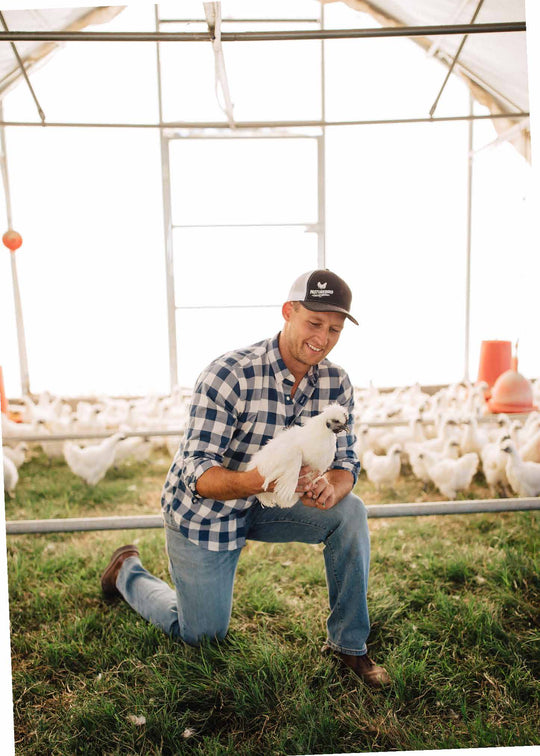 why pasture raised chicken is so important