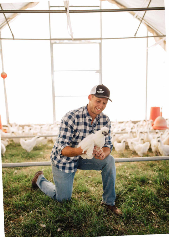 why pasture raised chicken is so important
