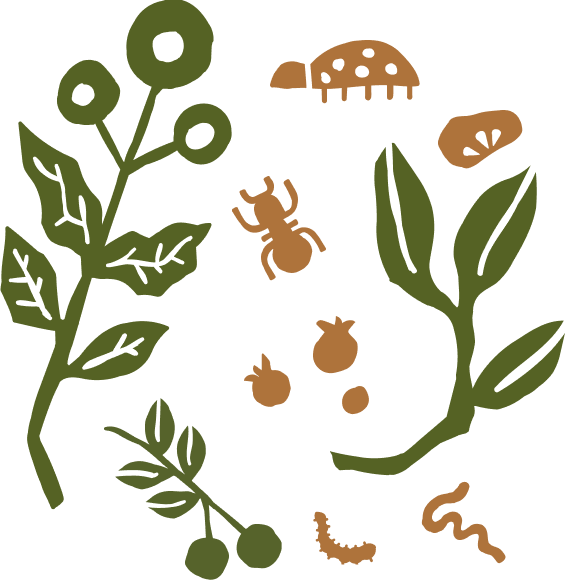 graphic of plants, bugs and worms